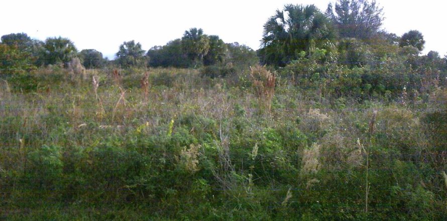 Terrain à Okeechobee, Floride № 884769