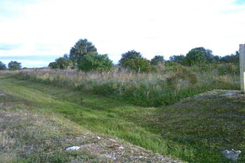 Land in Okeechobee, Florida № 884769 - photo 3