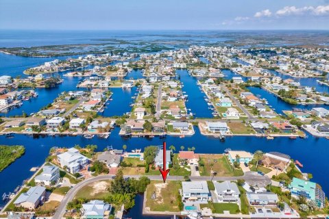 Terreno en venta en Hernando Beach, Florida № 1406575 - foto 1