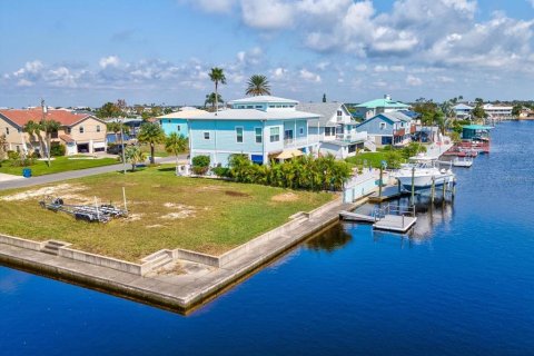 Terreno en venta en Hernando Beach, Florida № 1406575 - foto 11