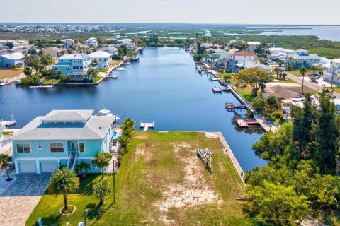 Terreno en venta en Hernando Beach, Florida № 1406575 - foto 5