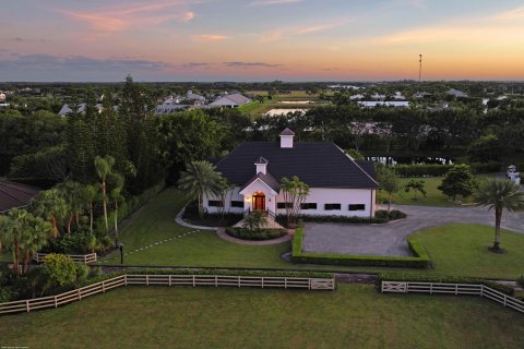 Villa ou maison à vendre à Wellington, Floride: 13 chambres, 658.31 m2 № 957093 - photo 13