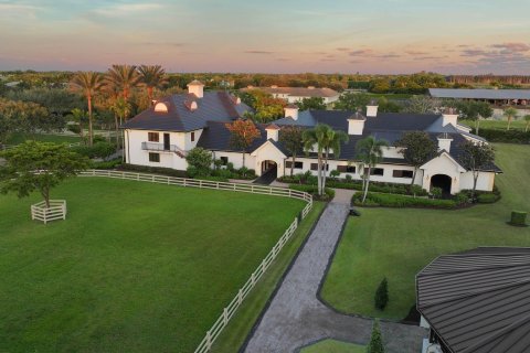 Villa ou maison à vendre à Wellington, Floride: 13 chambres, 658.31 m2 № 957093 - photo 6