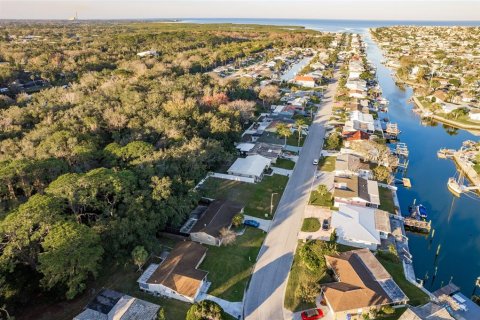 Land in New Port Richey, Florida № 990058 - photo 12