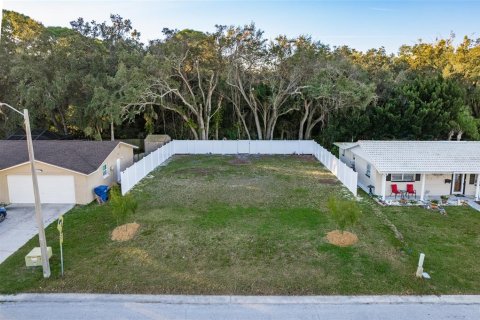 Land in New Port Richey, Florida № 990058 - photo 5