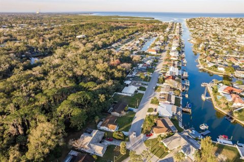 Land in New Port Richey, Florida № 990058 - photo 13