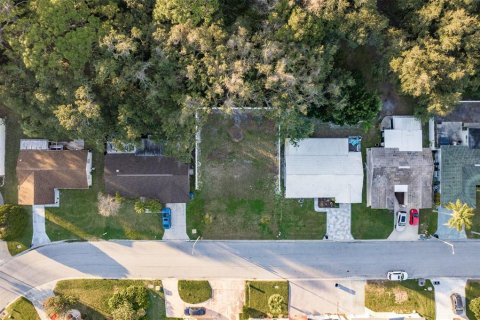 Land in New Port Richey, Florida № 990058 - photo 16