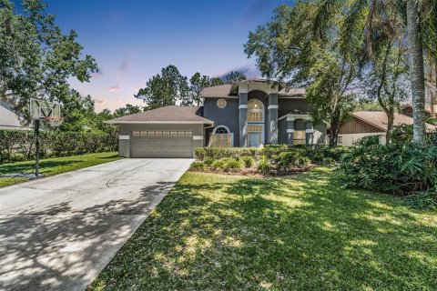 Villa ou maison à vendre à Lutz, Floride: 4 chambres, 281.87 m2 № 1148566 - photo 1