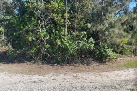 Terreno en venta en Fort Myers, Florida № 1378554 - foto 3