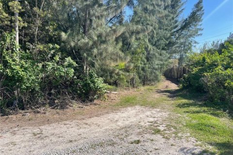 Terreno en venta en Fort Myers, Florida № 1378554 - foto 2