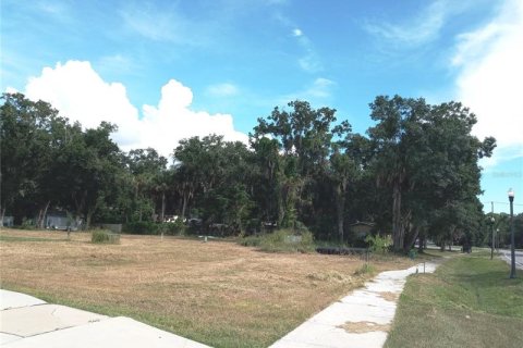 Terreno en venta en Oldsmar, Florida № 302053 - foto 6