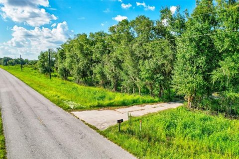 Terreno en venta en Myakka City, Florida № 1389041 - foto 21