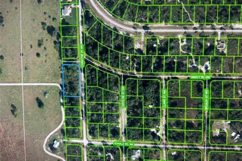 Купить земельный участок в Лейк-Плэсид, Флорида № 295510 - фото 1