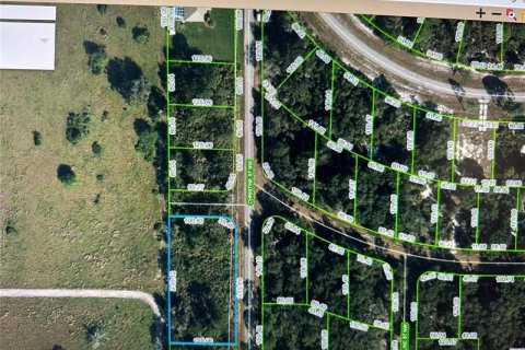 Terrain à vendre à Lake Placid, Floride № 295510 - photo 3