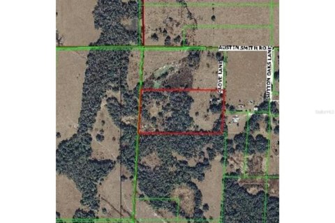 Land in Zephyrhills, Florida № 1217834 - photo 1