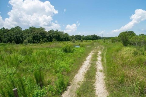 Land in Zephyrhills, Florida № 1217834 - photo 2