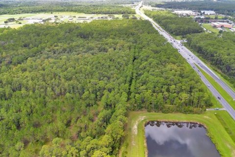 Terrain à vendre à DeLand, Floride № 1313343 - photo 25