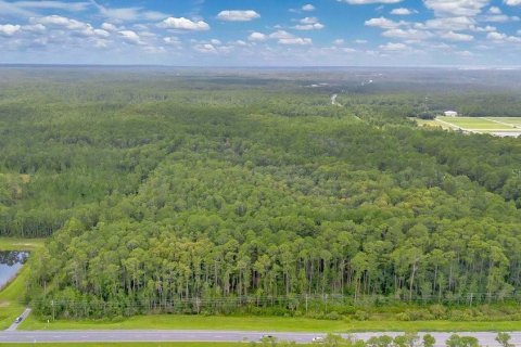 Terrain à vendre à DeLand, Floride № 1313343 - photo 20