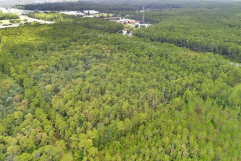 Terrain à vendre à DeLand, Floride № 1313343 - photo 5