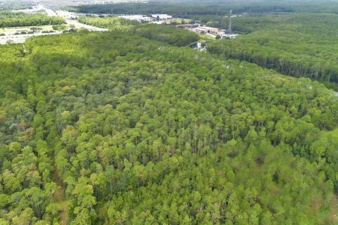 Terrain à vendre à DeLand, Floride № 1313343 - photo 4