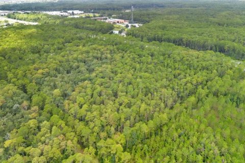 Terrain à vendre à DeLand, Floride № 1313343 - photo 6