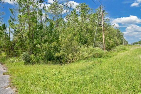 Land in DeLand, Florida № 1313341 - photo 16