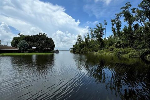 Terrain à vendre à Tavares, Floride № 1353363 - photo 6