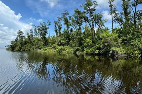 Land in Tavares, Florida № 1353363 - photo 5