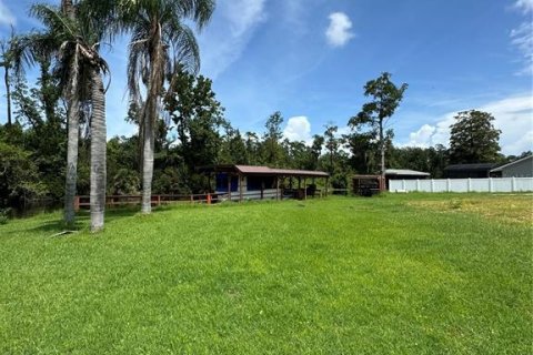 Terreno en venta en Tavares, Florida № 1353363 - foto 2