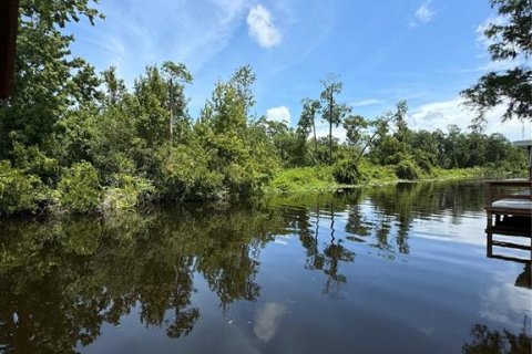 Terrain à vendre à Tavares, Floride № 1353363 - photo 4