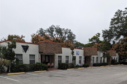 Immobilier commercial à vendre à Brandon, Floride: 433.85 m2 № 840380 - photo 3