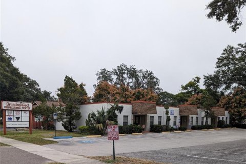 Купить коммерческую недвижимость в Брэндон, Флорида 433.85м2, № 840380 - фото 6