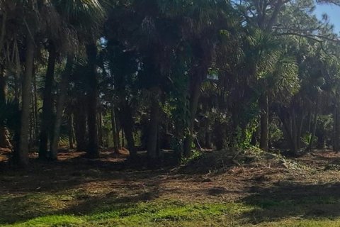 Terreno en venta en Englewood, Florida № 508321 - foto 1