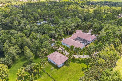 Villa ou maison à vendre à Loxahatchee Groves, Floride: 8 chambres, 698.63 m2 № 591690 - photo 10
