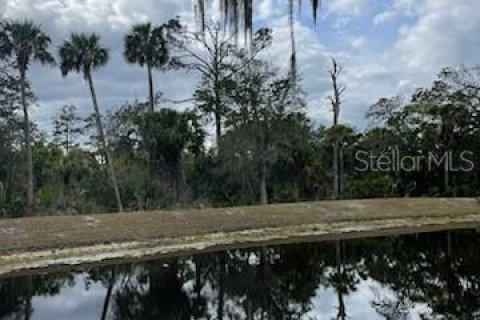 Land in Palm Coast, Florida № 1196380 - photo 6