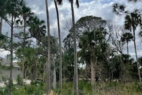 Land in Palm Coast, Florida № 1196380 - photo 7