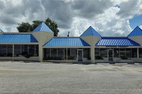 Immobilier commercial à louer à Zephyrhills, Floride: 100.33 m2 № 1350724 - photo 1