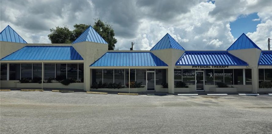 Commercial property in Zephyrhills, Florida 100.33 sq.m. № 1350724