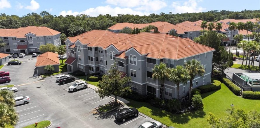 Condo in Tampa, Florida, 1 bedroom  № 1378508