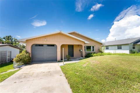 Villa ou maison à vendre à Punta Gorda, Floride: 3 chambres, 118.54 m2 № 1312033 - photo 1