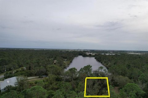 Land in Punta Gorda, Florida № 1255393 - photo 16