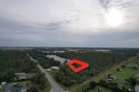 Terreno en venta en Punta Gorda, Florida № 1255393 - foto 6