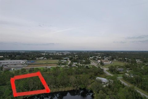 Land in Punta Gorda, Florida № 1255393 - photo 22