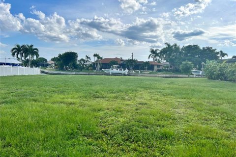 Terreno en venta en Punta Gorda, Florida № 1295869 - foto 11