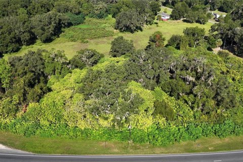 Terreno en venta en Citra, Florida № 1295915 - foto 5