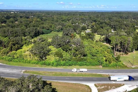 Terreno en venta en Citra, Florida № 1295915 - foto 4