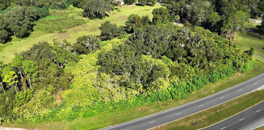 Terrain à Citra, Floride № 1295915