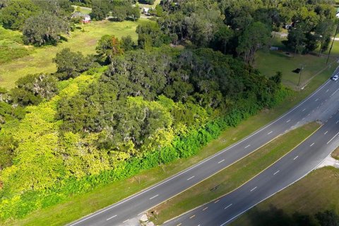 Terreno en venta en Citra, Florida № 1295915 - foto 9