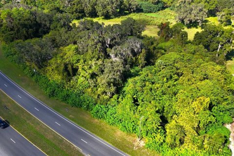 Terreno en venta en Citra, Florida № 1295915 - foto 3