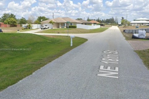 Terrain à vendre à Cape Coral, Floride № 287561 - photo 2